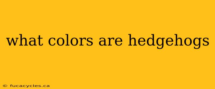 what colors are hedgehogs