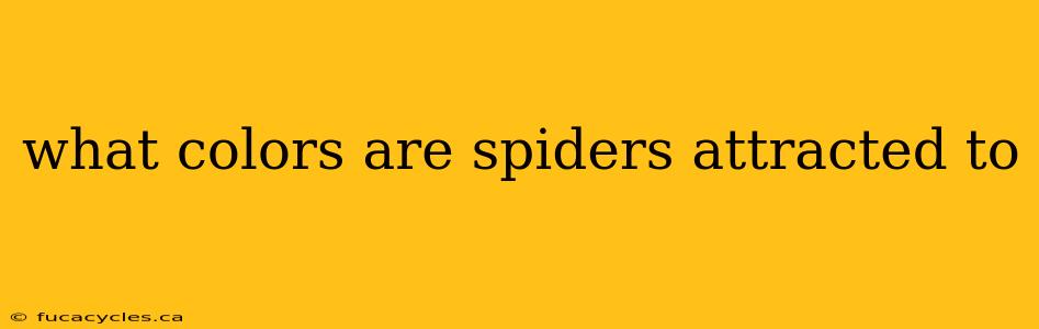 what colors are spiders attracted to