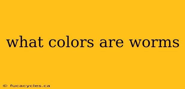 what colors are worms