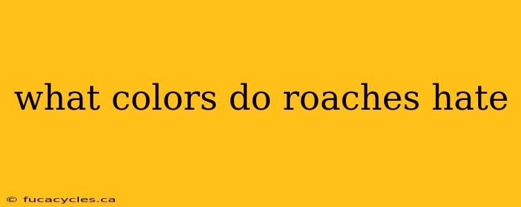 what colors do roaches hate