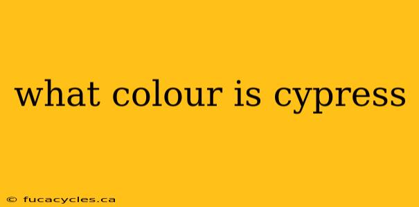 what colour is cypress