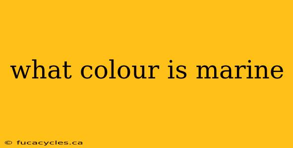 what colour is marine