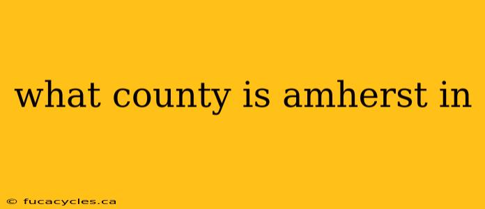 what county is amherst in