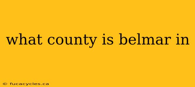 what county is belmar in