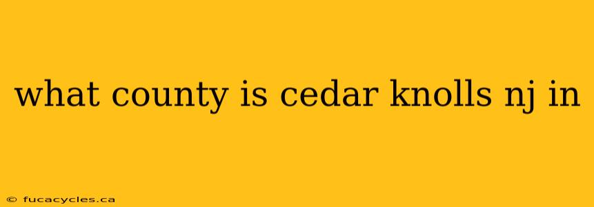 what county is cedar knolls nj in