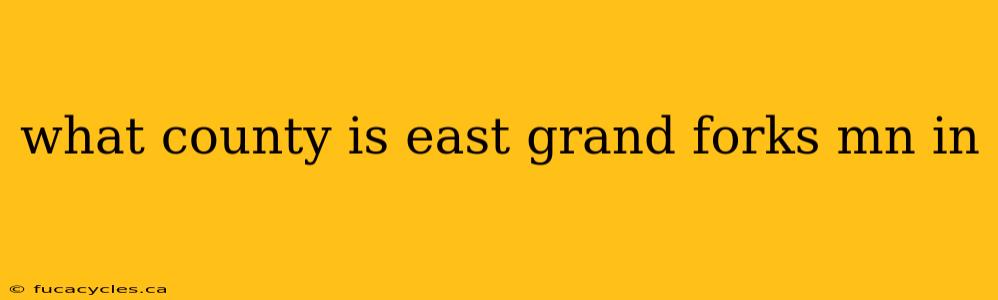 what county is east grand forks mn in