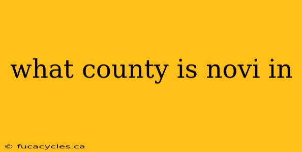 what county is novi in