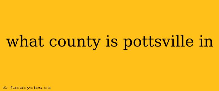 what county is pottsville in