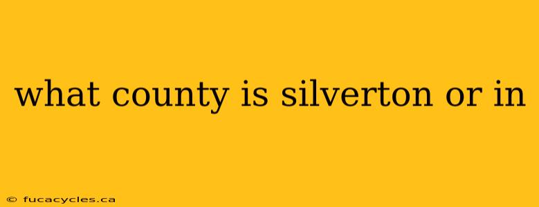 what county is silverton or in