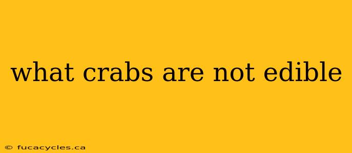 what crabs are not edible