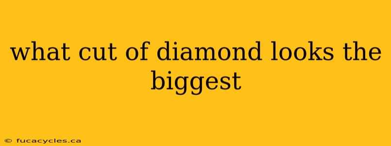 what cut of diamond looks the biggest