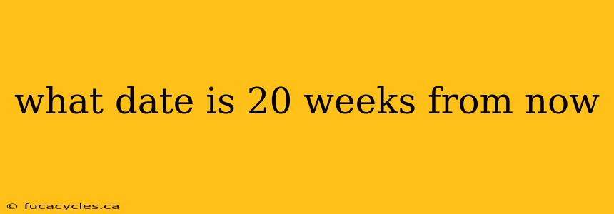 what date is 20 weeks from now