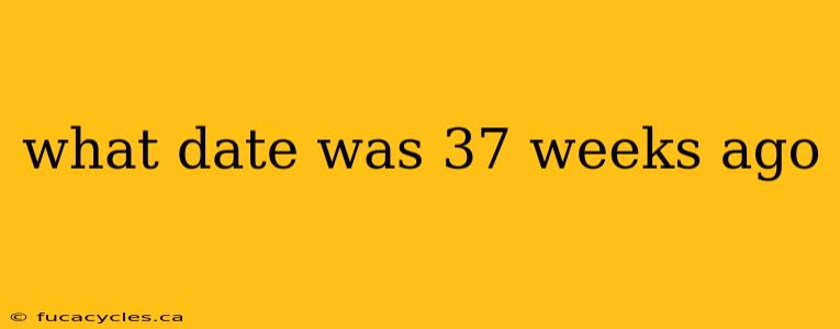what date was 37 weeks ago