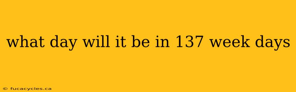 what day will it be in 137 week days