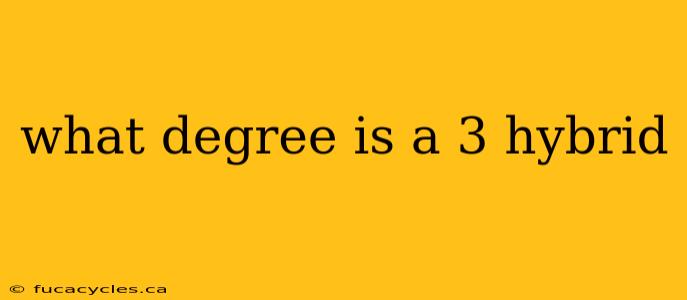 what degree is a 3 hybrid