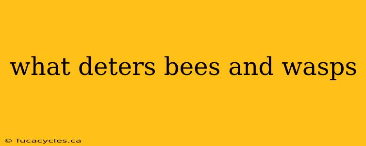 what deters bees and wasps