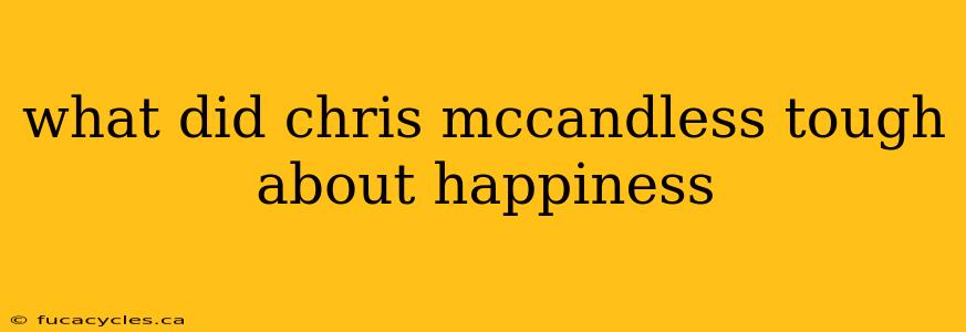 what did chris mccandless tough about happiness