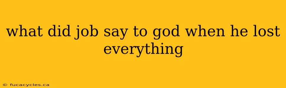 what did job say to god when he lost everything