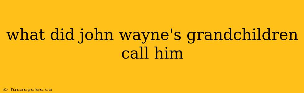 what did john wayne's grandchildren call him