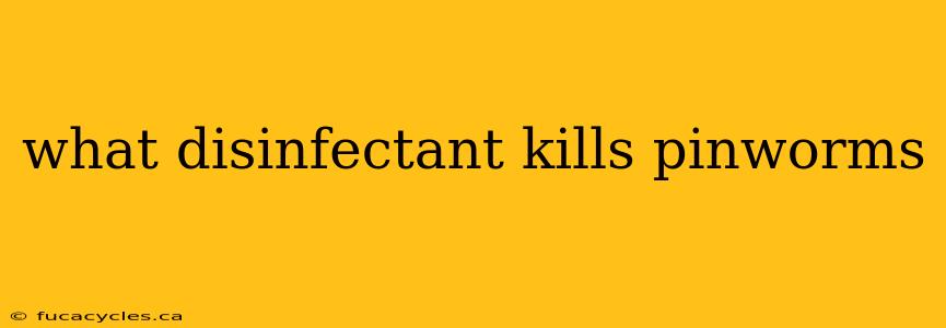 what disinfectant kills pinworms