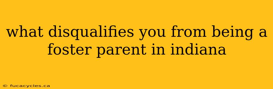 what disqualifies you from being a foster parent in indiana