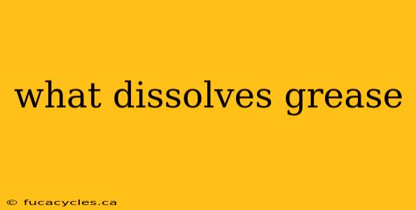 what dissolves grease