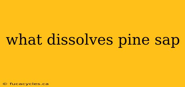 what dissolves pine sap