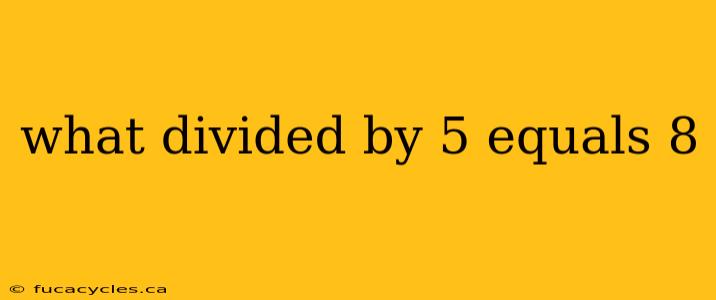 what divided by 5 equals 8