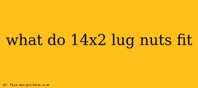 what do 14x2 lug nuts fit