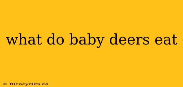 what do baby deers eat