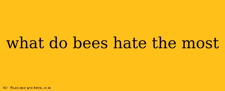 what do bees hate the most