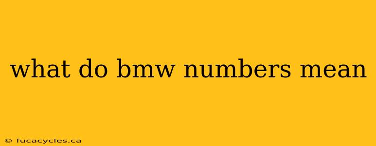 what do bmw numbers mean