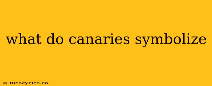 what do canaries symbolize