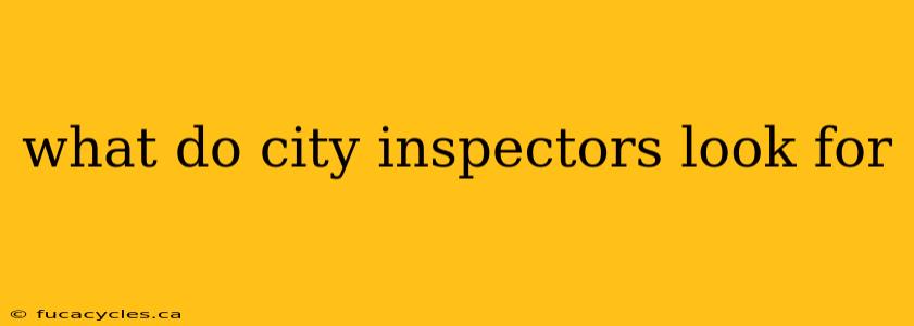 what do city inspectors look for