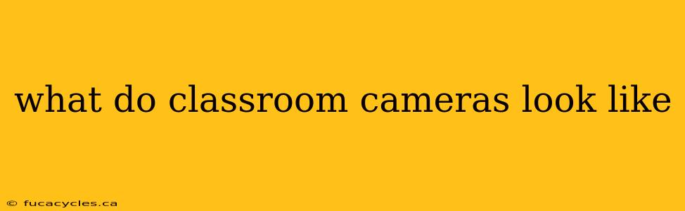 what do classroom cameras look like