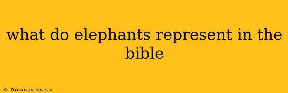 what do elephants represent in the bible