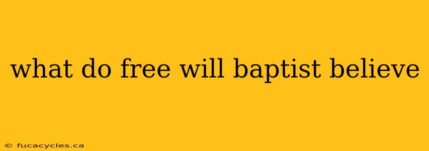 what do free will baptist believe