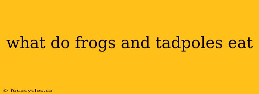 what do frogs and tadpoles eat