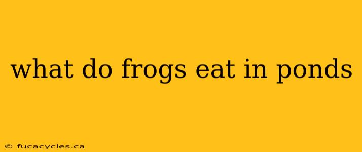 what do frogs eat in ponds