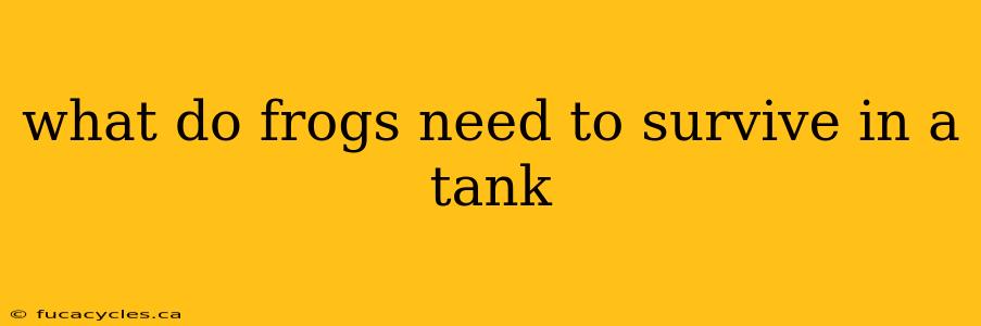 what do frogs need to survive in a tank