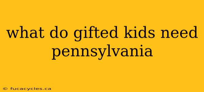 what do gifted kids need pennsylvania