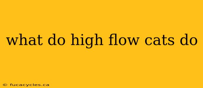 what do high flow cats do