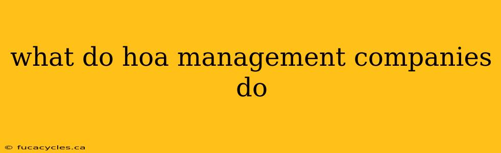 what do hoa management companies do