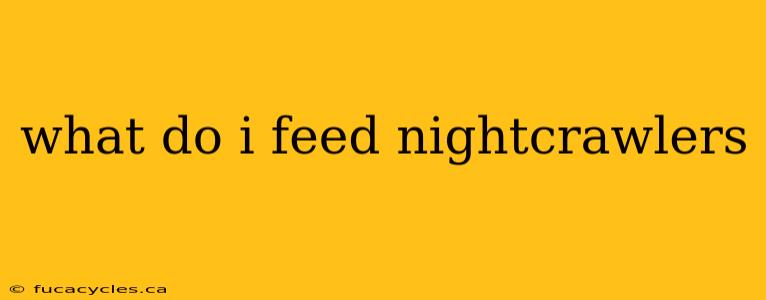 what do i feed nightcrawlers