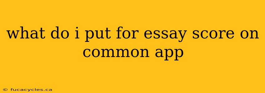 what do i put for essay score on common app