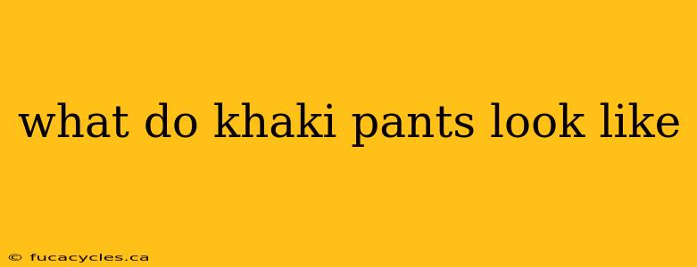 what do khaki pants look like