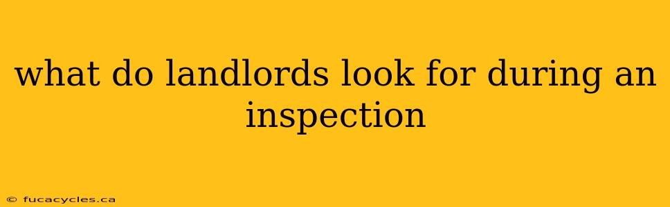 what do landlords look for during an inspection