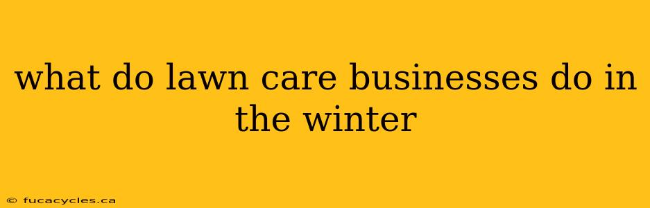 what do lawn care businesses do in the winter