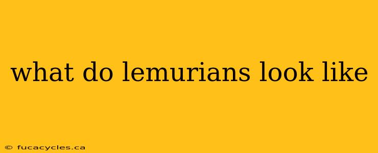 what do lemurians look like