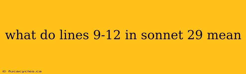 what do lines 9-12 in sonnet 29 mean